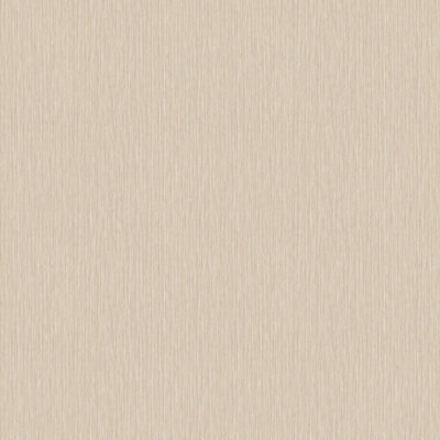 Praveen 10.05m x 53cm Matte Double Roll
