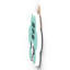 Gruia Wall Decor