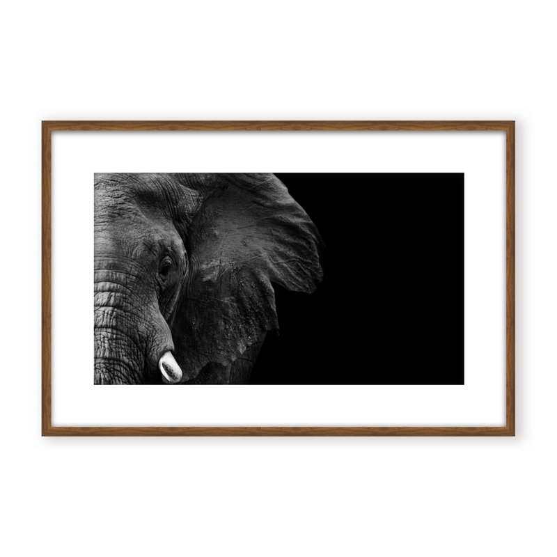 Nature Inspired Elephant by  - Picture Frame Photograph on Paper, 24" H x 36" W x 1.125" D, Framed Matted Print, Black