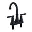 Double Handle Bathroom Sink Faucet with Drainer-246606