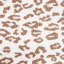 Safari Trim-2012636399