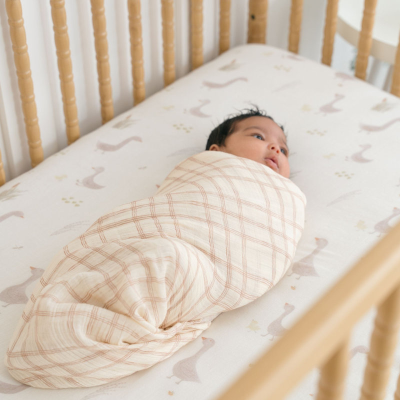 2-pc. Goose/Check Swaddle Set
