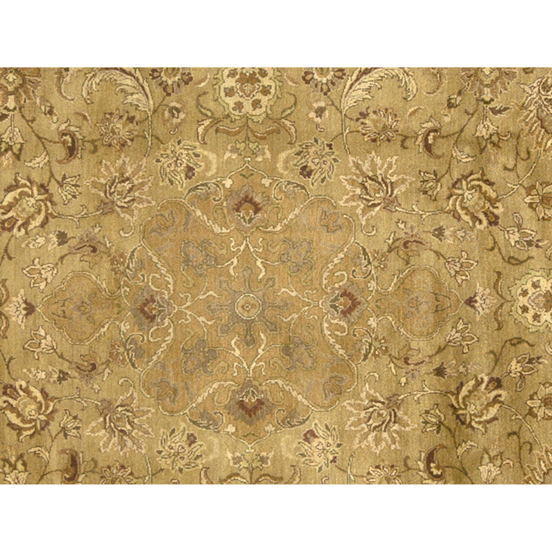 Hand Knotted Wool Area Rug in Gold