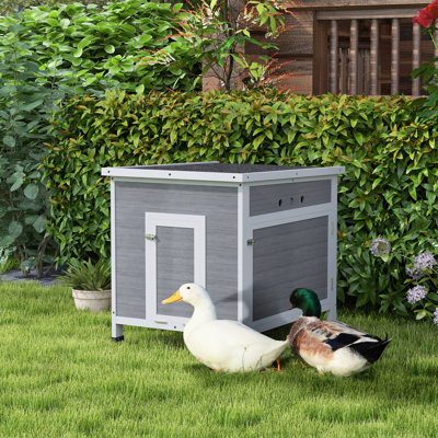 Chicken, Rabbit, Duck Hutch