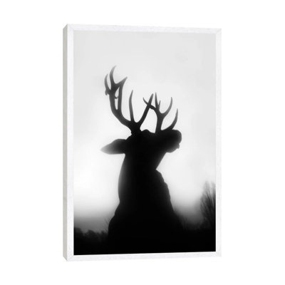 Roar 1 Piece Wall Art on Canvas