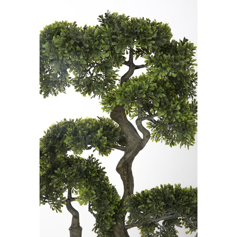 The Twillery Co.® Panama Bonsai Tree in Pot & Reviews