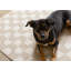 Charlanne Power Loomed Geometric Area Rug-1575866515-1597365462