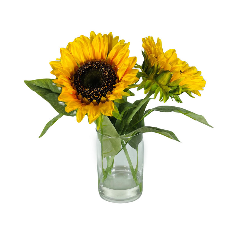Tournesol dans l'eau 13 po