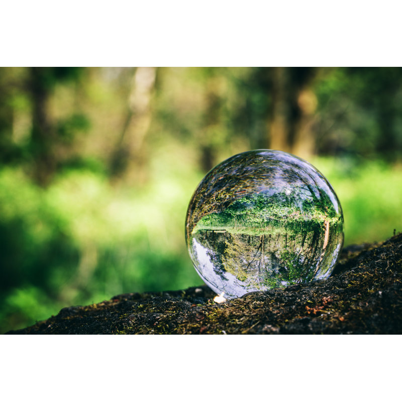 Crystal Ball Reflecting A Forest. by NiseriN - Wrapped Canvas Print, 20cm H x 30cm W