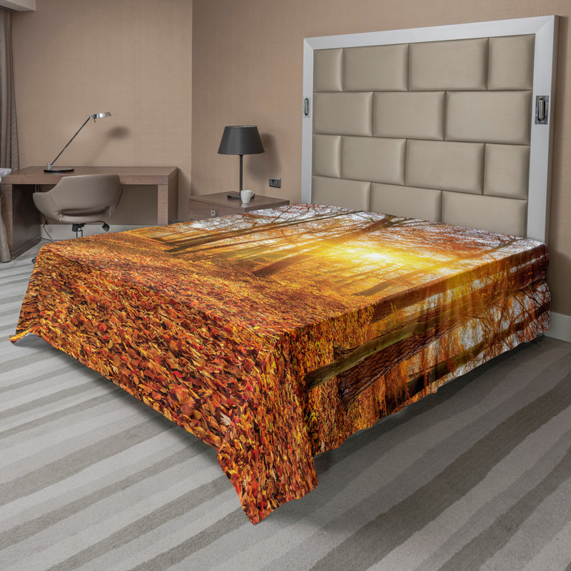 Drap-housse Ambesonne, Double