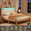 Base de lit double, cadre de lit avec lumière à DEL RVB et station de charge, tête de lit à 2 niveaux de rangement et support de lattes en bois robuste, aucun sommier requis, assemblage facile (crème, double)-2127113373-2127113372
