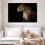 Jaguar de minuit Brampt-108725779