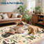 Area Rug