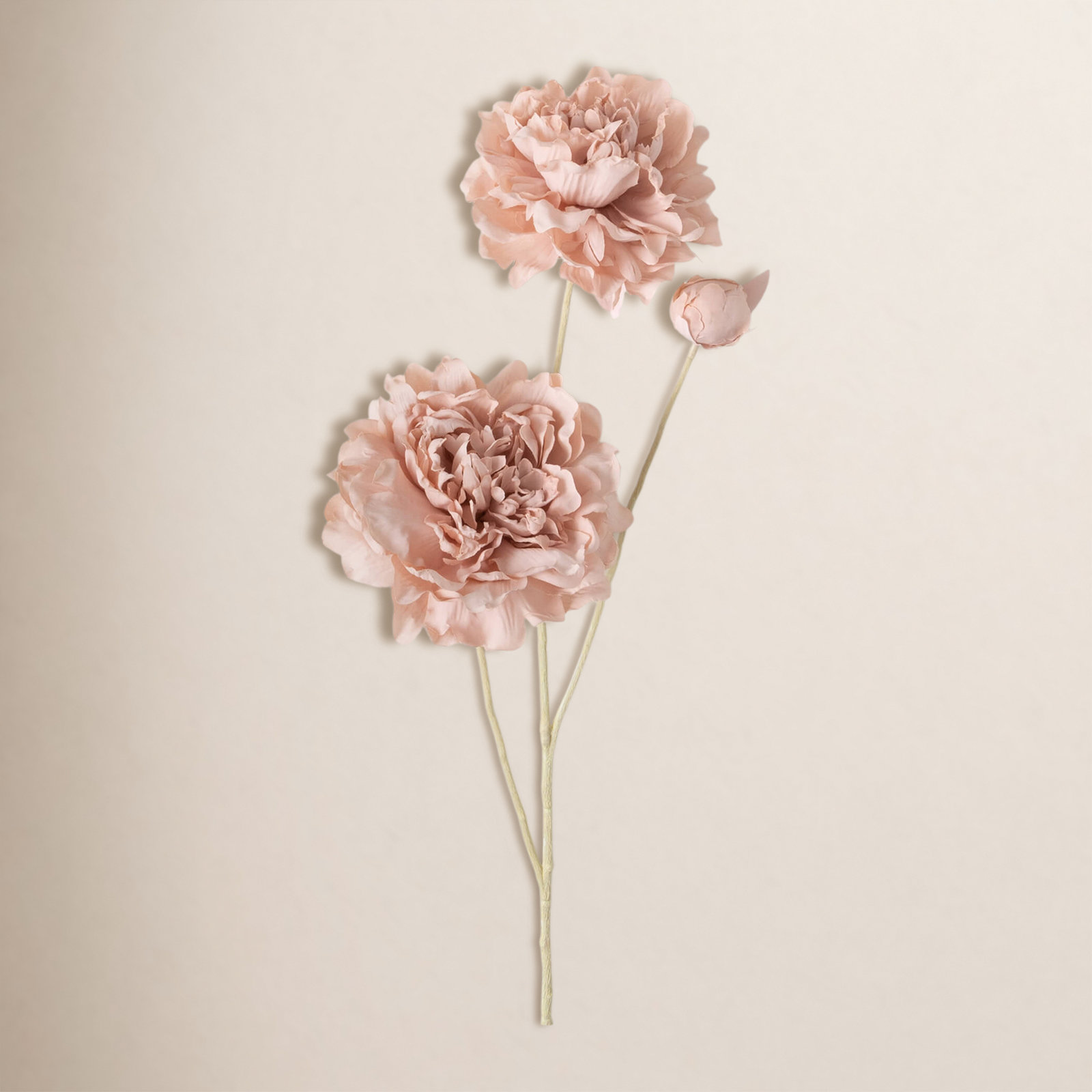 Peony Floral Stems, Mauve