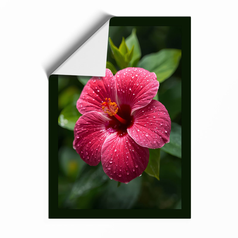 Hibiscus in Bloom Botanical - Framed Print, A1 - 84.1 x 59.4 cm, Unframed