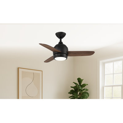 Ventilateur de plafond à DEL intérieur / extérieur 36 po Avalanna
