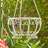 One Allium Way® Box-924803057