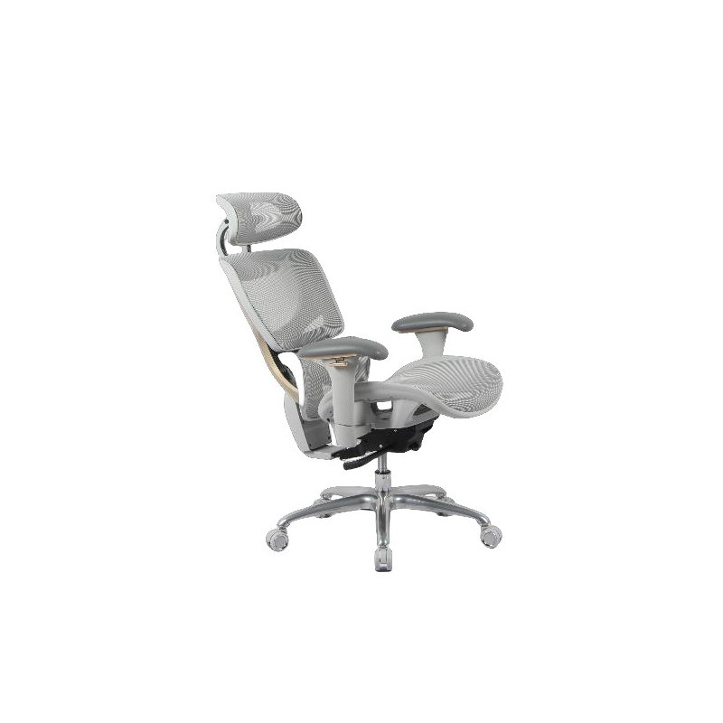 Chaise de bureau Malillany