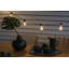 Corvus Outdoor LED Light Set with Amber Bulbs, Black Wire, Dimmable, IP44, 24V Transformer-49802184