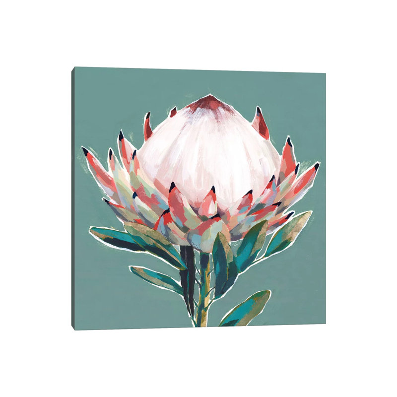 Blooming King Protea by Isabelle Z - Painting on Canvas, Wrapped Canvas, 93.98 cm H x 93.98 cm W x 3.175 cm D