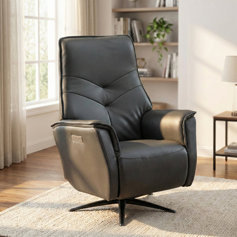 Makinlie 76cm Wide Swivel Standard Recliner, Anthracite