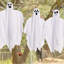 Piquet de jardin d'Halloween Ghost Face