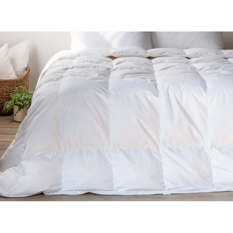 All Season Feather & Down Duvet Comforter Insert, Twin
