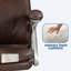 Chaise de bureau Sealy Hugo