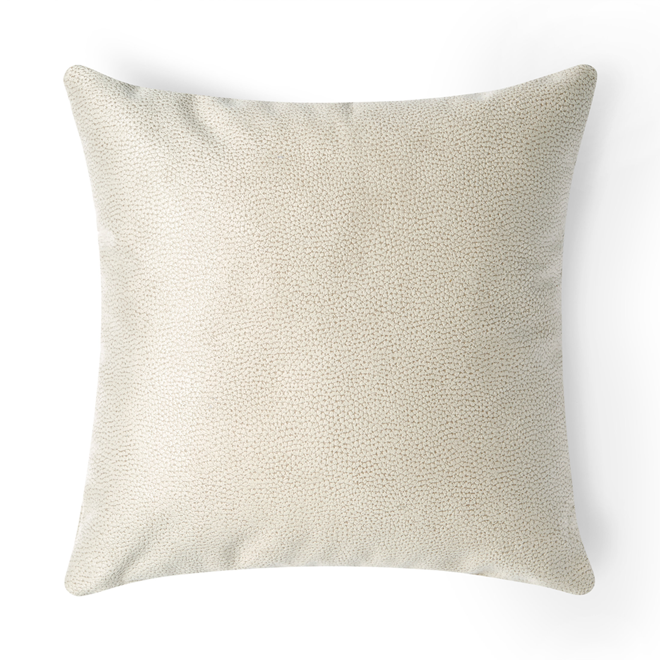 https://assets.wfcdn.com/im/99465154/compr-r85/2420/242072658/polyester-throw-pillow.jpg