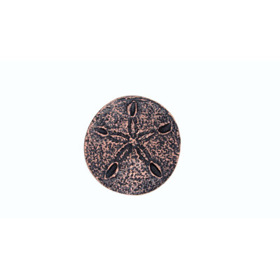 Oversized 2" Sand Dollar Novelty Knob
