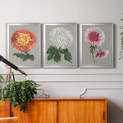 Chrysanthemum On Grey I - Ensemble de 3 peintures sur toile encadrées