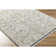 Manalapan Oriental Indoor Rug