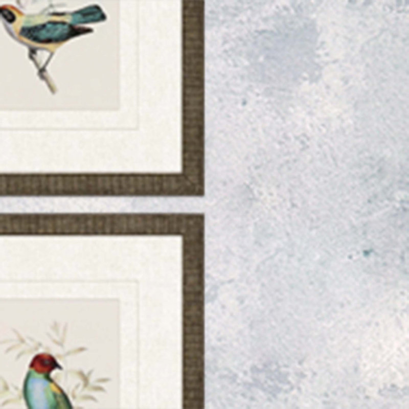 «On Perch I», ensemble de 4 reproductions encadrées