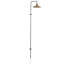 Platet 1 - Light Wallchiere-70977972