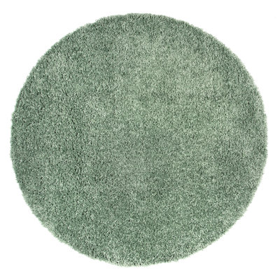 Abbiney Performance Shag Green Rug