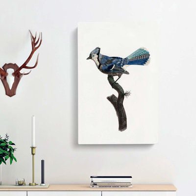 Blue Jay Bird by Jacques Barraband - Wrapped Canvas