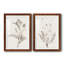 «Neutral Botanical Study VIIP», reproduction d'art encadrée - prête à être accrochée-558944093-559107761-558944160