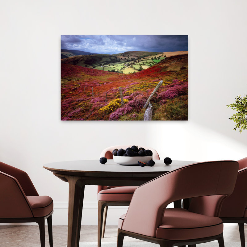 Meadow Clwyd Nr Llangollen, Pays de Galles, art abstrait contemporain de fleurs colorées, H 24 po x l 36 po