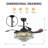 Jacquilyn 42'' Ceiling Fan with LED Lights