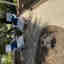 Customer photo 2 of 2
