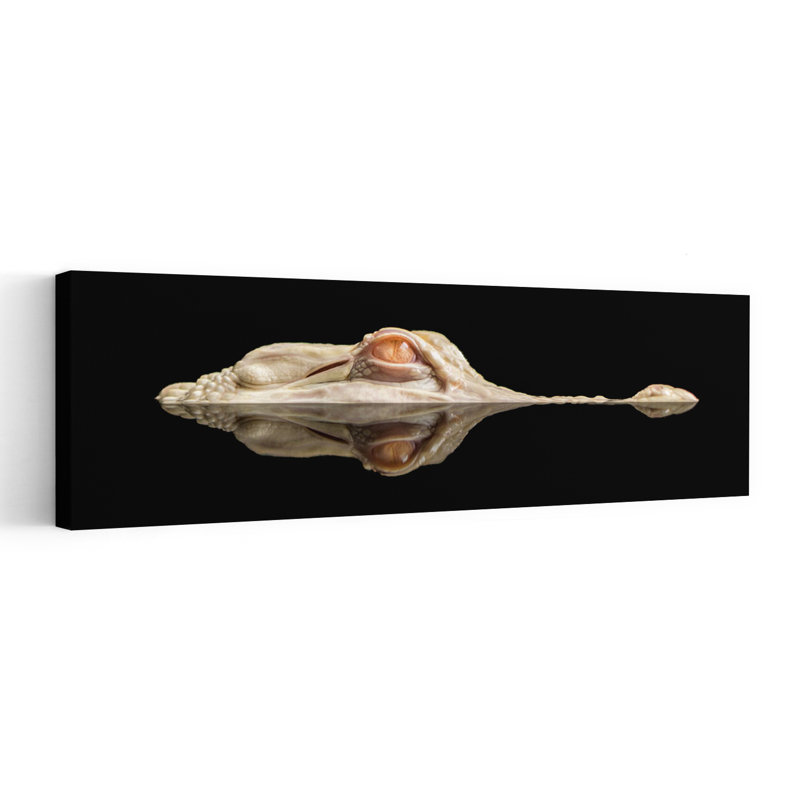 Ghost Alligator Eye by Holger Schmidtke - Wrapped Canvas Panoramic Print, 121.92 cm H x 40.64 cm W
