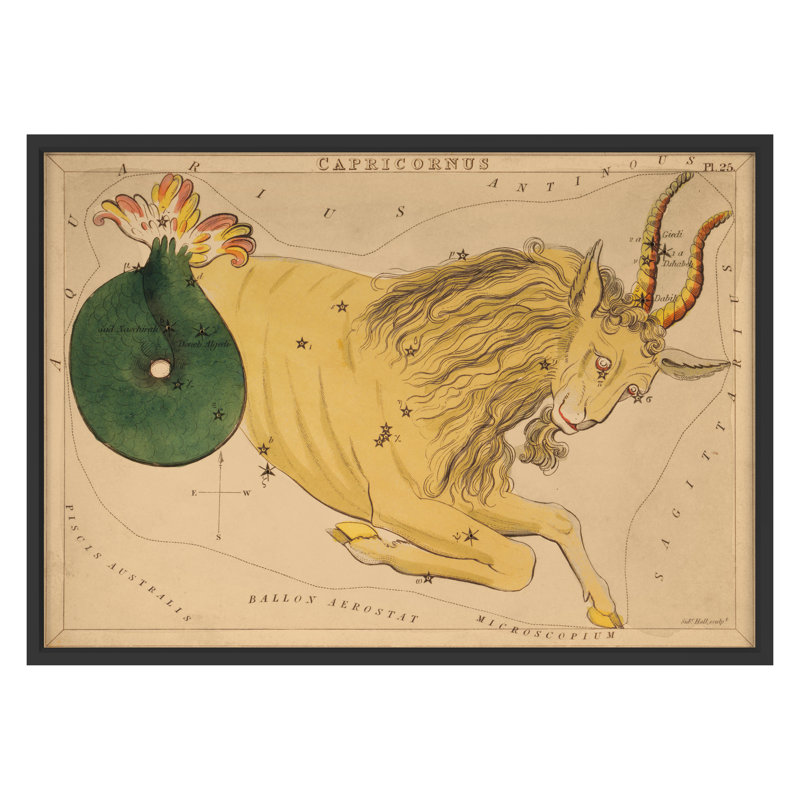 Capricornus Print by Grand Archives, 32" H x 45" W, Black Framed 