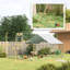 Weather Resistant Small Animal Cage