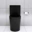 Toilette noire matte avec double chasse, 1,1 / 1,6, salle de bain allongée en noir, utilisation écoénergétique-123482669