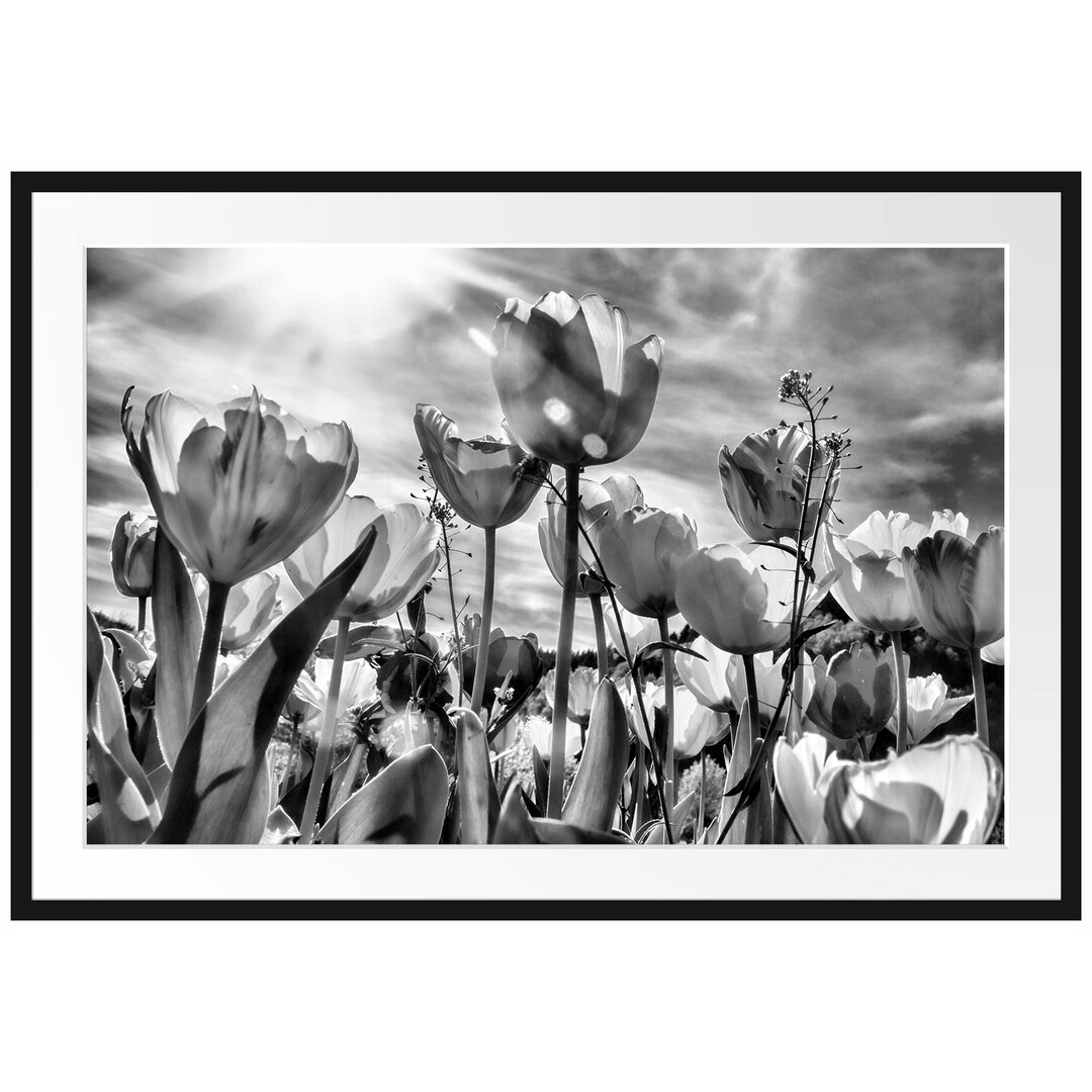 Gerahmtes Poster Blumenwiese