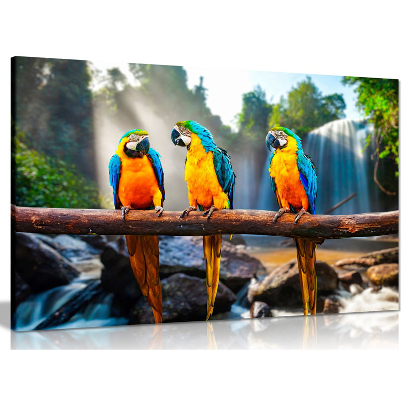Parrots Macaws - Wrapped Canvas Print, 31cm H x 46cm W