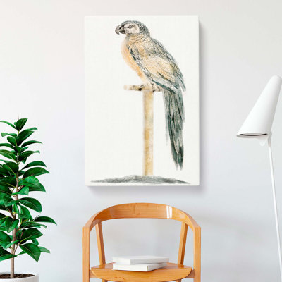 Perched Parrot by Johan Teyler - Wrapped Canvas Art - Wrapped Canvas