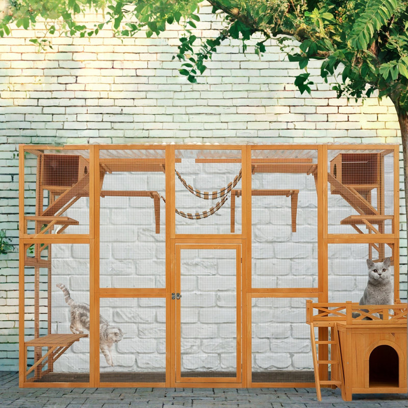 Maison d'extérieur pour chat avec boîte extérieure et plus d'espace
