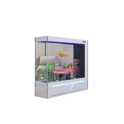 Aquarium en verre transparent 31,5 po avec filtration latérale