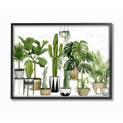 Boho, scène de plante avec des cactus et des plantes grasses dans des pots géométriques